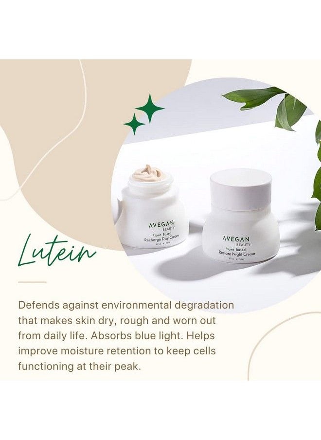 Ecco Bella - Avegan And Wellness Beauty Plant Based Restore Night Cream Build Firmer Younger Skin While You Sleep - Image 1