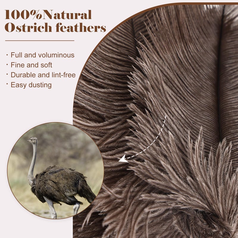 Daieeparty Natural Ostrich Feather Duster 14.9 Inch Fluffy Mini Dusters With Plastic Handheld For Cleaning Car Keyboard Office 1 Pcs - Image 4