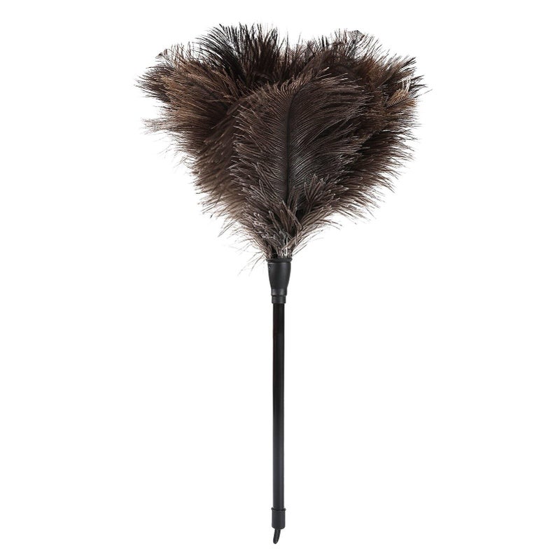 Daieeparty Natural Ostrich Feather Duster 14.9 Inch Fluffy Mini Dusters With Plastic Handheld For Cleaning Car Keyboard Office 1 Pcs - Image 1