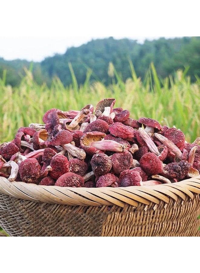 Generic Russula Mushroom Red Mushroom Russula Sp Chinese Russula Vinosa,Wild Mountain Russula Hong Gu Dried (100 Grams /0.22 lbs)  - Image 2