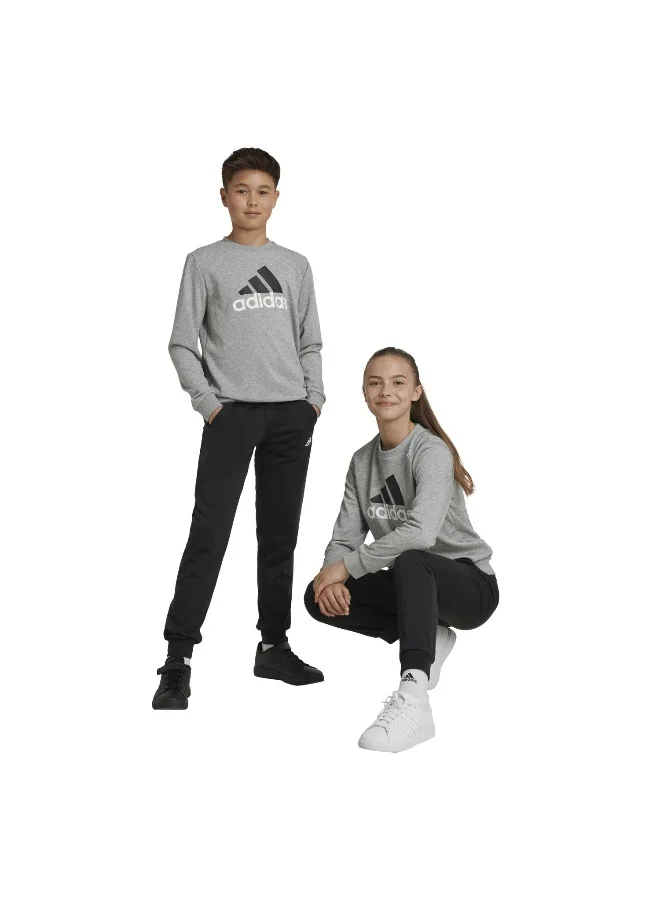 Adidas adidas J Bl Ft Ts Grey Training Suits 7-8Y