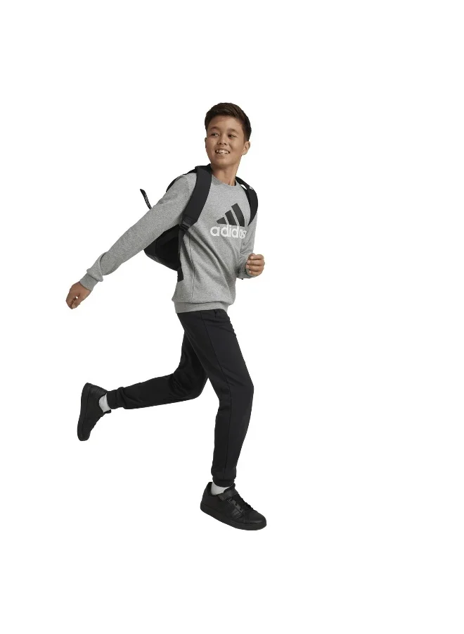 Adidas adidas J Bl Ft Ts Grey Training Suits 7-8Y
