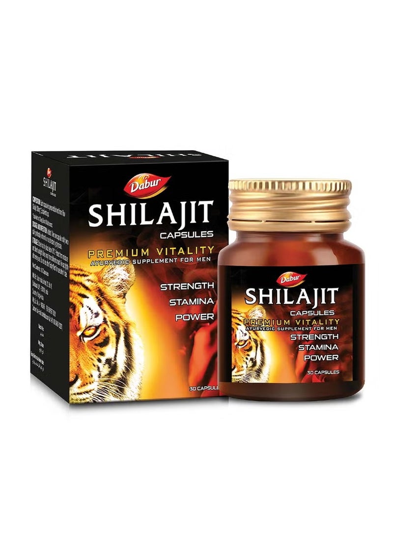DABUR SHILAJIT 30'S