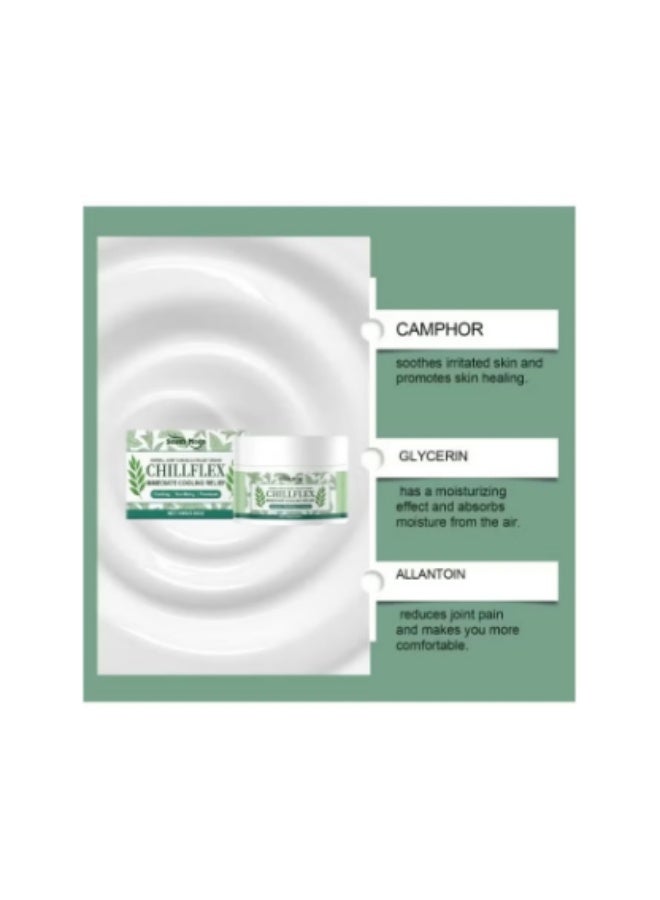 ساوث مون كريم تشيلفليكس المهدئ بالمنثول، كريمات سريعة المفعول لتخفيف آلام العضلات والمفاصل، وأنشطة المفاصل في جميع أنحاء الجسم، 100 غرام - Image 3