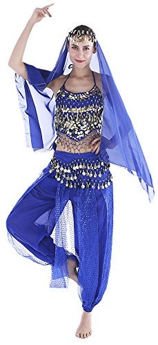 Seawhisper Gypsy Costume Bollywood Outfits India Belly Dancer Costume Women Top Pants Arabian Nights Aladdin Outfit - Image 4