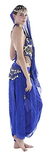 Seawhisper Gypsy Costume Bollywood Outfits India Belly Dancer Costume Women Top Pants Arabian Nights Aladdin Outfit - Image 5