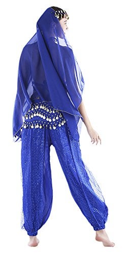 Seawhisper Gypsy Costume Bollywood Outfits India Belly Dancer Costume Women Top Pants Arabian Nights Aladdin Outfit - Image 3