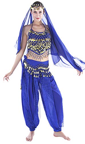 Seawhisper Gypsy Costume Bollywood Outfits India Belly Dancer Costume Women Top Pants Arabian Nights Aladdin Outfit - Image 1