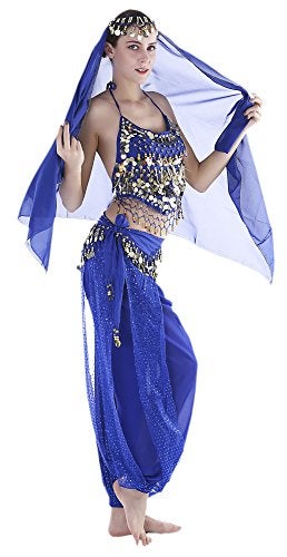 Seawhisper Gypsy Costume Bollywood Outfits India Belly Dancer Costume Women Top Pants Arabian Nights Aladdin Outfit - Image 2