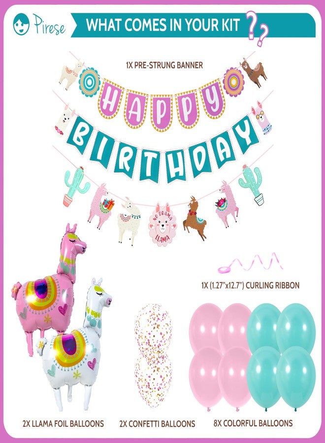 Pirese Llama Birthday Decorations, Llama Party Decorations, Llama Happy Birthday Banner | Llama Decorations | Llama Party Supplies | Peruvian Decor, Fiesta Birthday Decorations, Cinco de Mayo Birthday - Image 2