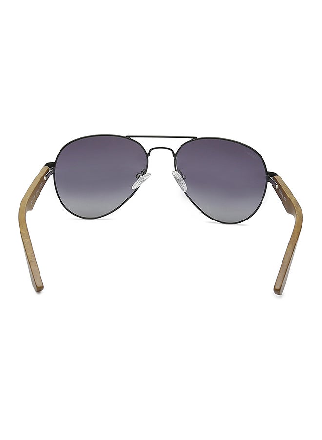 تيتان نظارة شمسية تايتان افياتور للرجال - Image 4