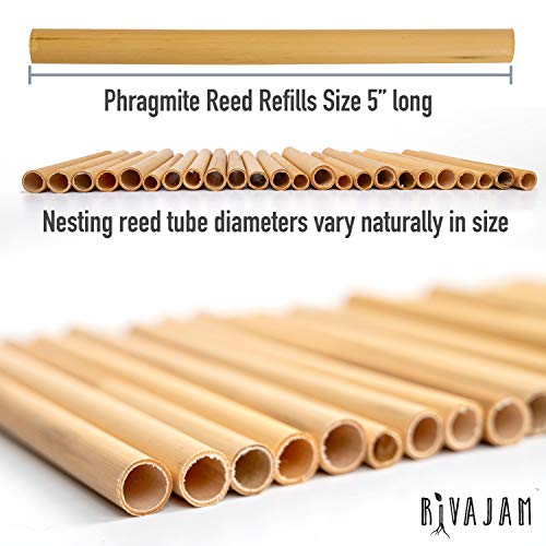 Rivajam 125 Phragmite Reed Mason Bee Tubes | Refill for Bee House, Hotel Nest Box, Solitary Hive & Pollinator Box | Garden Starter Kit & Supplies - Image 3