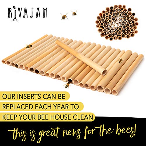 Rivajam 125 Phragmite Reed Mason Bee Tubes | Refill for Bee House, Hotel Nest Box, Solitary Hive & Pollinator Box | Garden Starter Kit & Supplies - Image 4