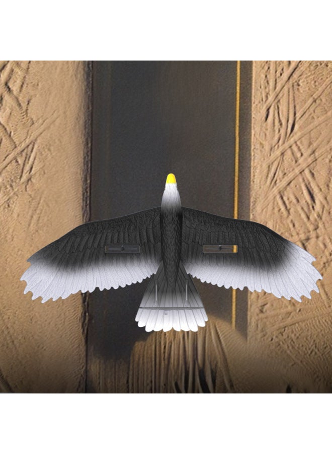 المنتج BM17 Eagle Glider ثابتة الجناح بثلاث قنوات للتحكم عن بعد من الفوم للطائرات النسر الأسود موديل اللون: طائرة شراعية النسر ثنائية القناة (مع أضواء) - Image 4