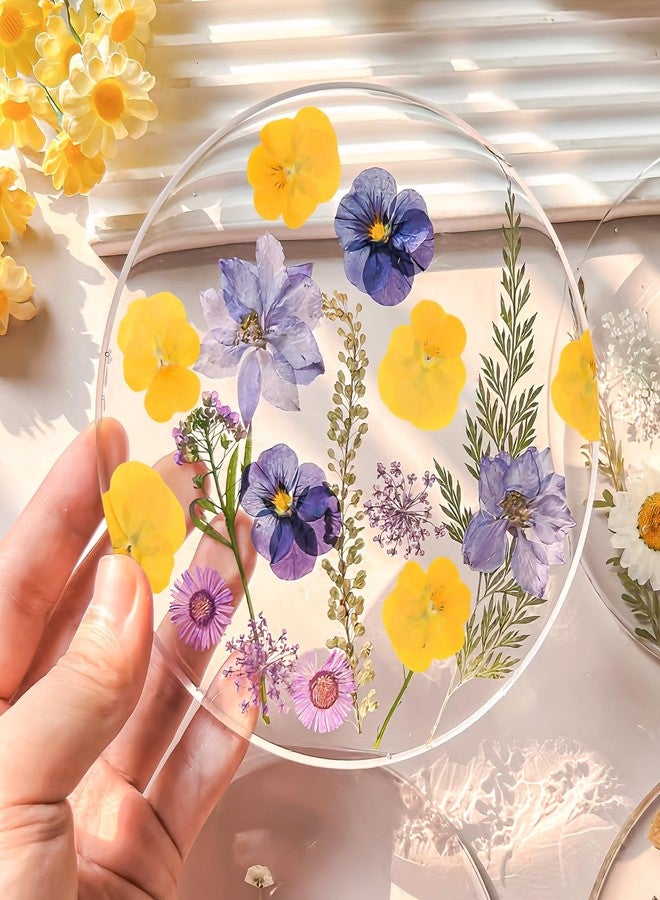 BuleVina ٥٠ قطعة من زهور البانسيه المجففة والمضغوطة الحقيقية لقوالب الراتنج، زهور مجففة مختلطة لصنع مجوهرات الراتنج والشموع، أعمال سكرابوكينغ، صابون DIY، زينة حفلات الزفاف وتزيين الأظافر (أصفر) - Image 4