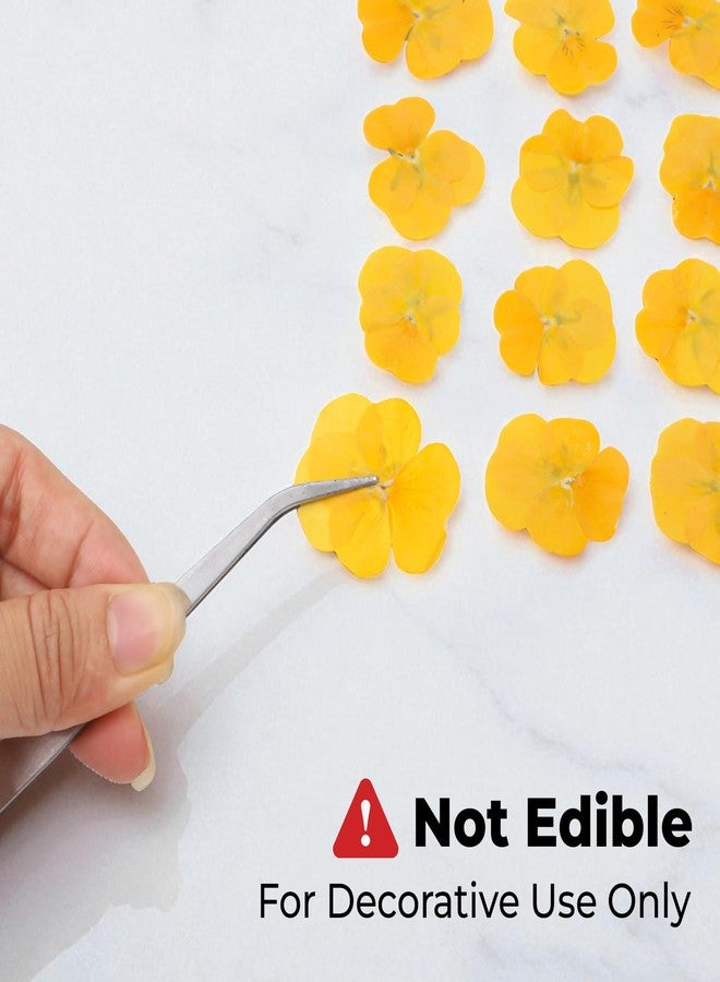 BuleVina ٥٠ قطعة من زهور البانسيه المجففة والمضغوطة الحقيقية لقوالب الراتنج، زهور مجففة مختلطة لصنع مجوهرات الراتنج والشموع، أعمال سكرابوكينغ، صابون DIY، زينة حفلات الزفاف وتزيين الأظافر (أصفر) - Image 3