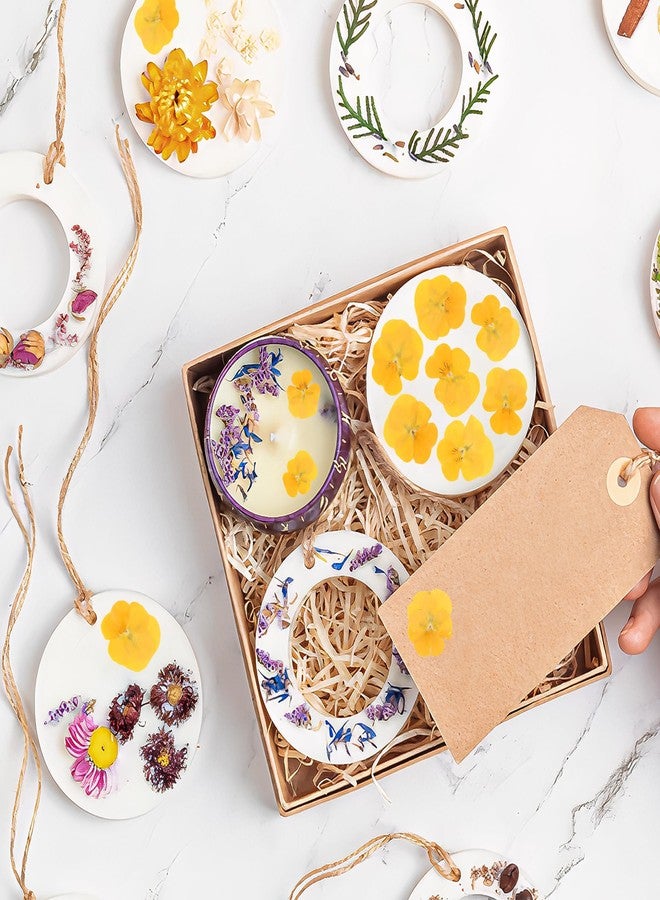 BuleVina ٥٠ قطعة من زهور البانسيه المجففة والمضغوطة الحقيقية لقوالب الراتنج، زهور مجففة مختلطة لصنع مجوهرات الراتنج والشموع، أعمال سكرابوكينغ، صابون DIY، زينة حفلات الزفاف وتزيين الأظافر (أصفر) - Image 5