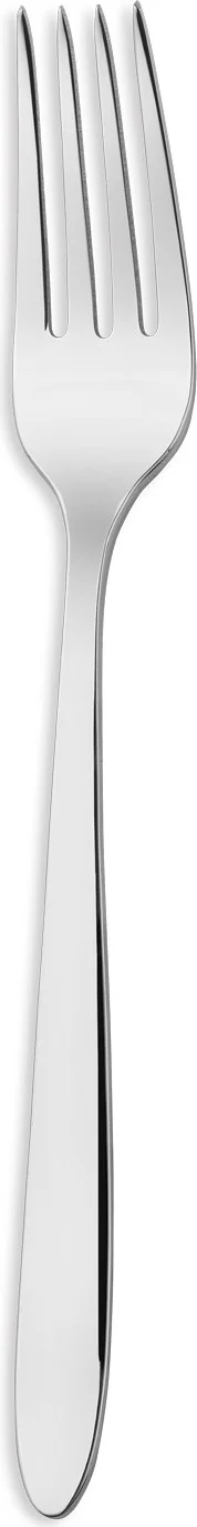 Schafer Solid 60 Piece Fork Spoon Set Silver02