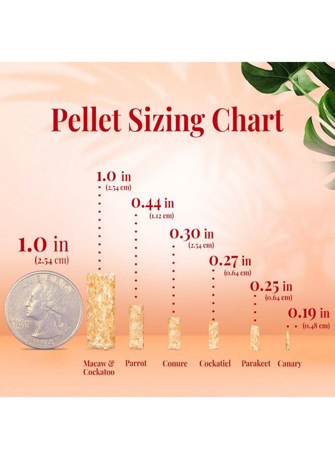 لافيبيرز حبيبات طيور الكوكتيل من LAFEBER'S (1.25 رطل (عبوة من قطعتين)، حبيبات فواكه استوائية)  - Image 4