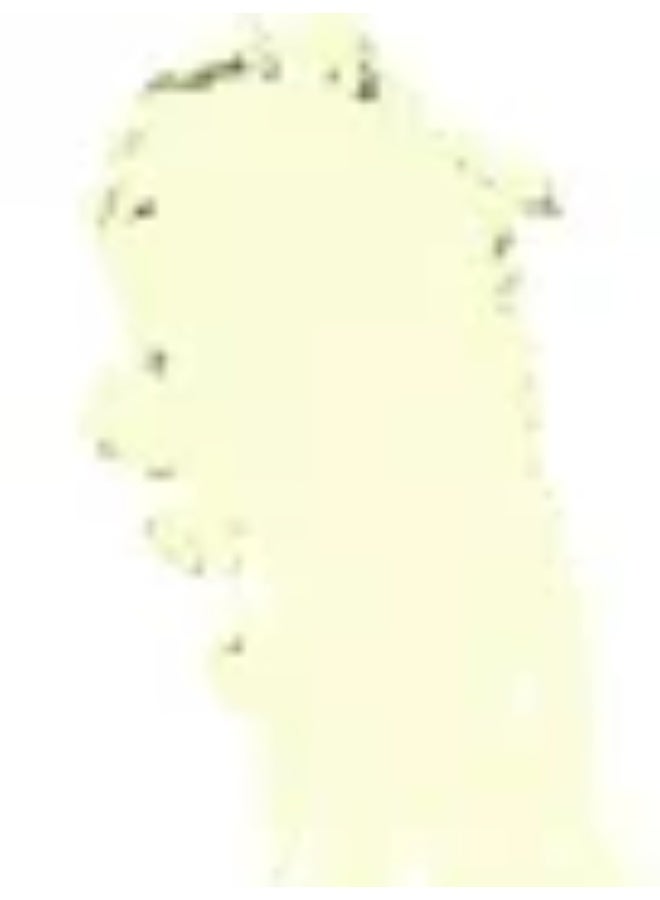 Covermark Rayblock Face Anti-Aging Sunscreen SPF80 50ml - Image 3