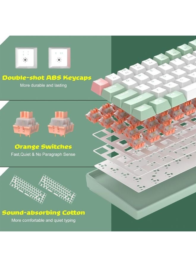 MageGee Mechanical Keyboard, 60 % Gaming Keyboard with Orange Switches and Sea Blue Backlit Small Compact 60 Percent Keyboard Mechanical, Portable  GREEN WHITE - Image 3