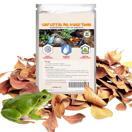 SunGrow Dwarf Frog Mini Catappa Leaves (50 Pc) - Tannin Helps Remove Ammonia, Lower pH - Leaf Litter Indian Almond Leaves, Aquarium Water Treatment, Decor Accessories - Image 1