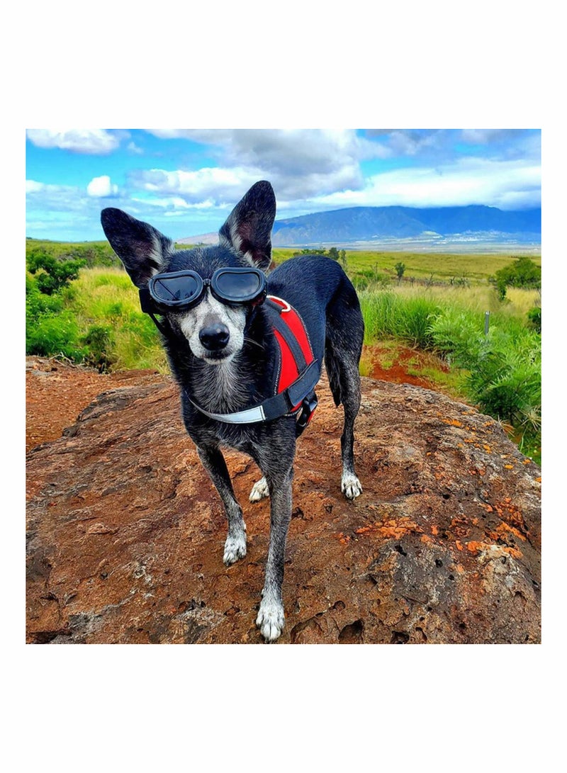 UV Protection Small Dog Sunglasses Windproof Snowproof Pet Goggles for Puppies and Cats Eye Safety - Image 4