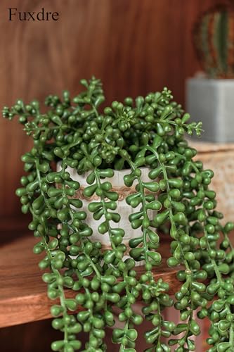Fuxdre Fake Hanging Plants, 2pcs Artificial Potted Greenery Faux Eucalyptus Vine Fern and String of Pearls in Pot for Home Room Wall Shelf Patio Garden Indoor Outdoor Decor - Image 5