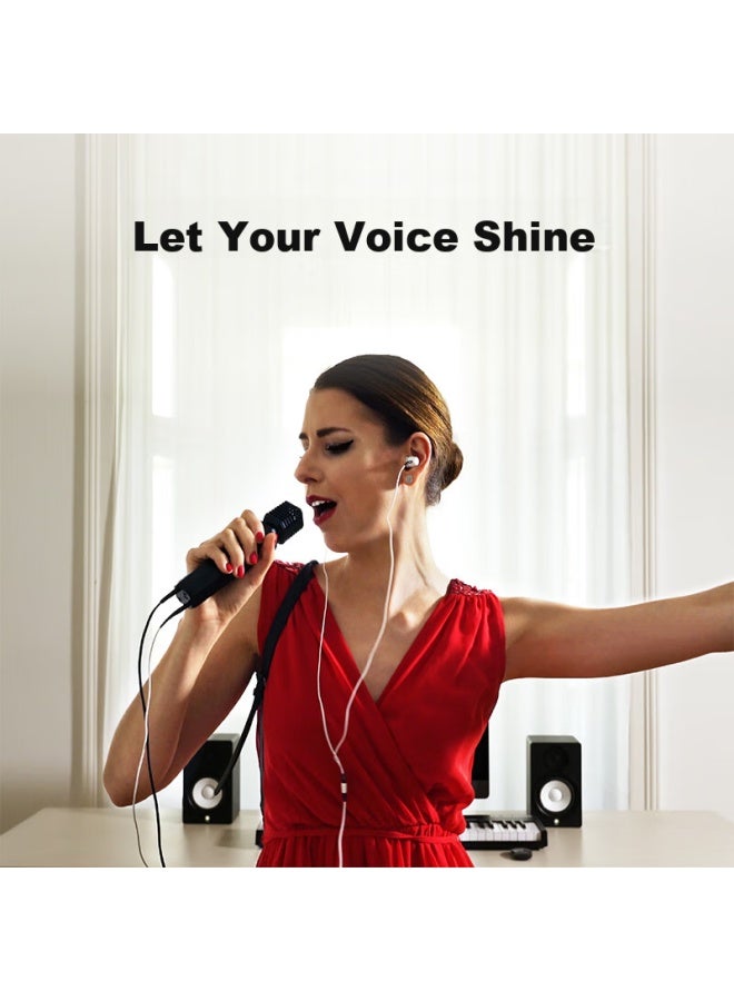 Lewitt Idol Condenser Microphone Sound Card Kit, Compatible With Phones And Computers, For Singing And Karaoke, All-In Karaoke Recording Microphone, Built-In Sound Card, Complete Set - Image 2