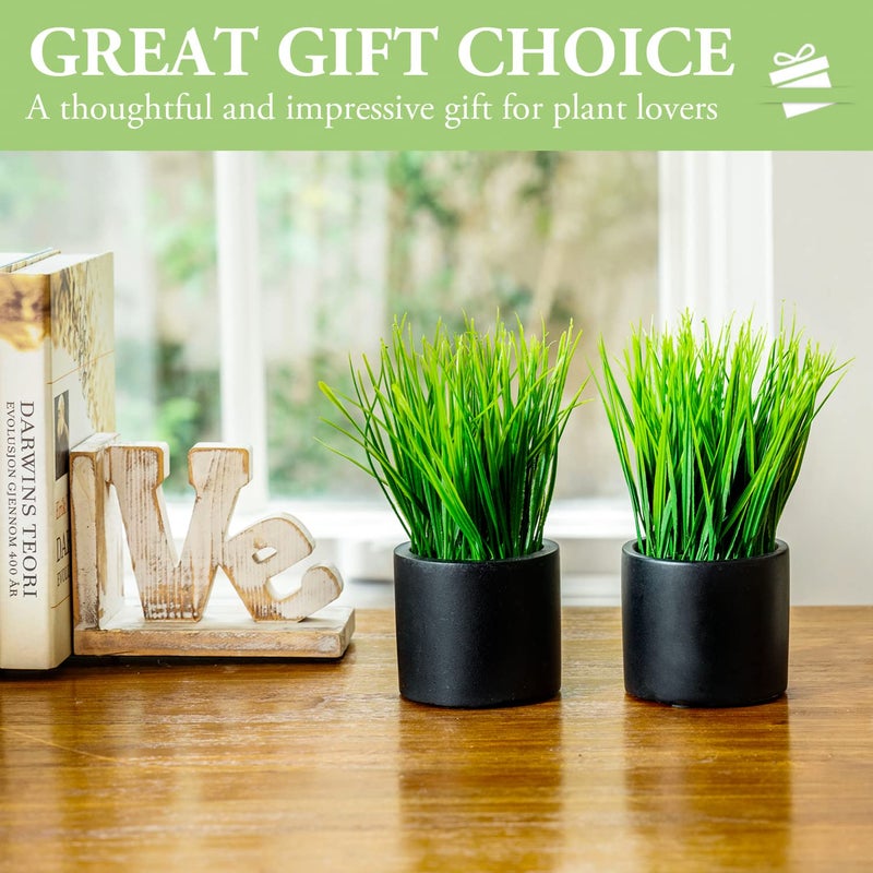 MyGift Tabletop Artificial Grass Plants Decorative Faux Greenery Plant Potted in Modern Cylindrical Black Cement Pots  Set of 2 - Image 3