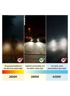 Y&D 4PCS H11 Halogen Bulb, Low Beam Headlight Fog Light Replacement High Brightness Bulb 150% Enhanced Illumination Durable Headlamp Night Driving Safety for Standard 711 55W  - Image 4