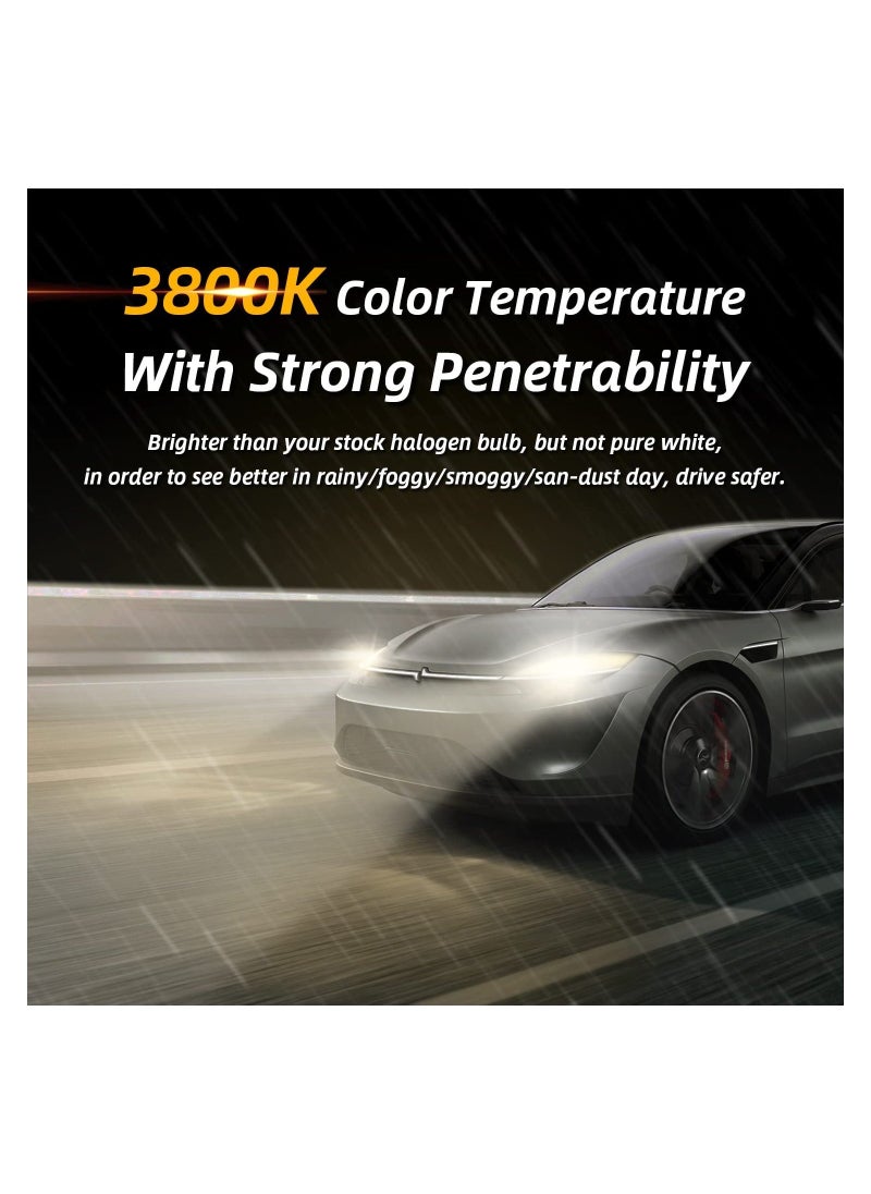 Y&D 4PCS H11 Halogen Bulb, Low Beam Headlight Fog Light Replacement High Brightness Bulb 150% Enhanced Illumination Durable Headlamp Night Driving Safety for Standard 711 55W  - Image 5