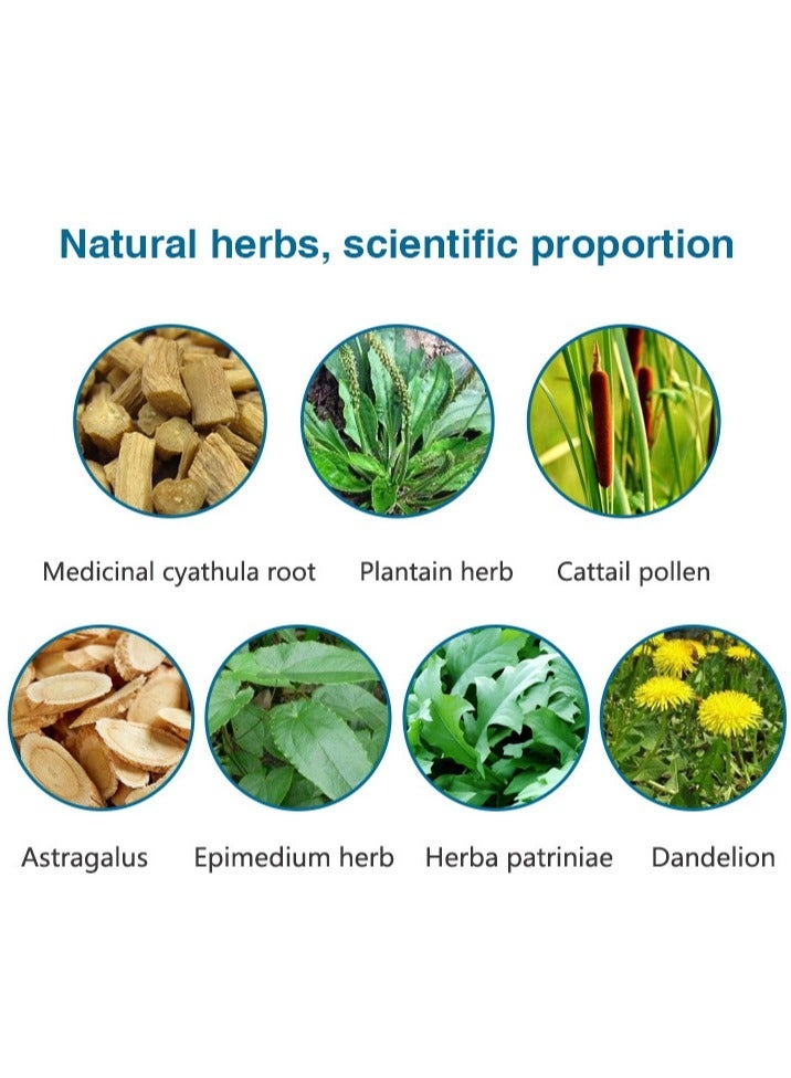 Wins Town Prostate Healthy Herbal Tea(2.5g*20bags) - Image 4