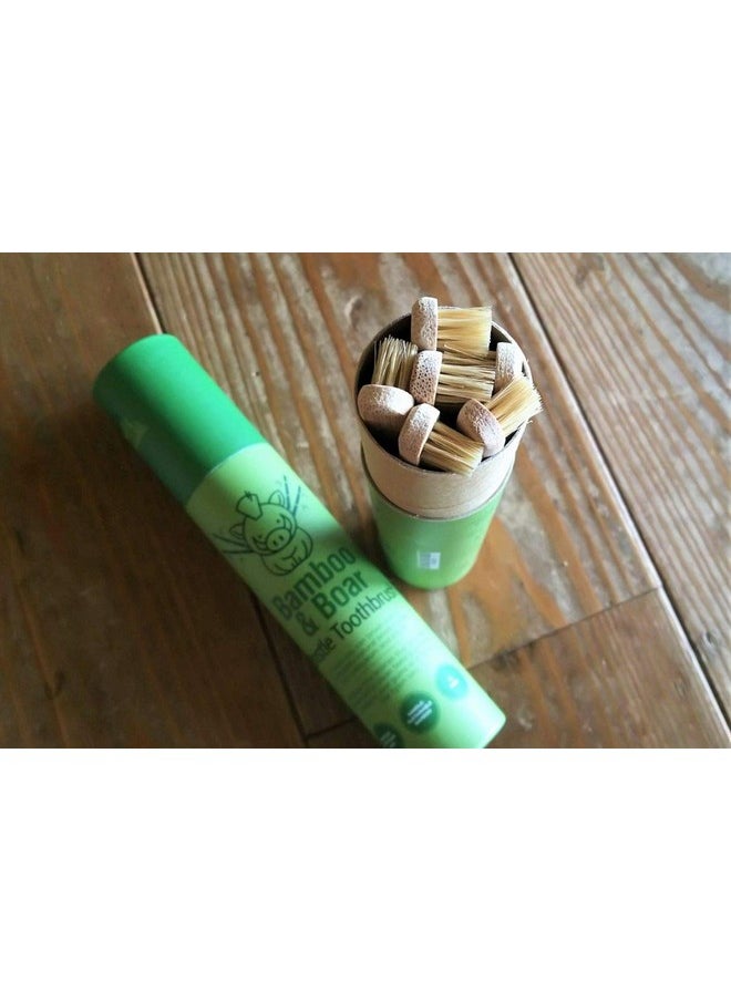 Gaia Guy Gaia Guy Natural Bristle Bamboo Toothbrush (NO Nylon - Boar Hair ONLY) - Totally Compostable & Biodegradable Boar Bristle and Bamboo Toothbrushes - Zero Waste - 6-Pack  - Image 5