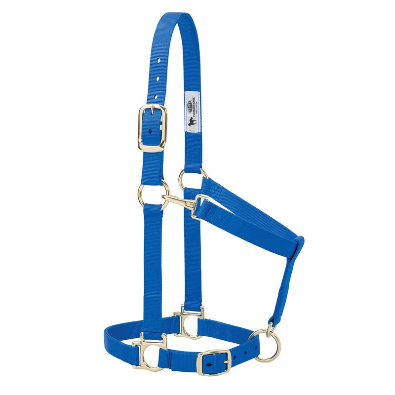 Weaver Leather Basic Adjustable Nylon Halter, Blue, 1" Average Horse - Image 1