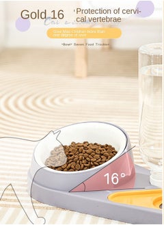 Cat Bowl Dog Water Feeder Bowl Cat Kitten Drinking Fountain Food Dish Dog Bowl  Pet Bowl - pzsku/Z170FF816F3B908359A14Z/45/_/1735266259/99cd70a4-aa83-4f04-8cd2-9723e048a311