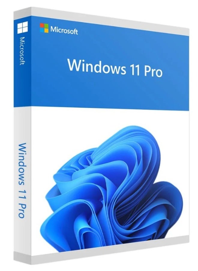 Windows 11 Professional