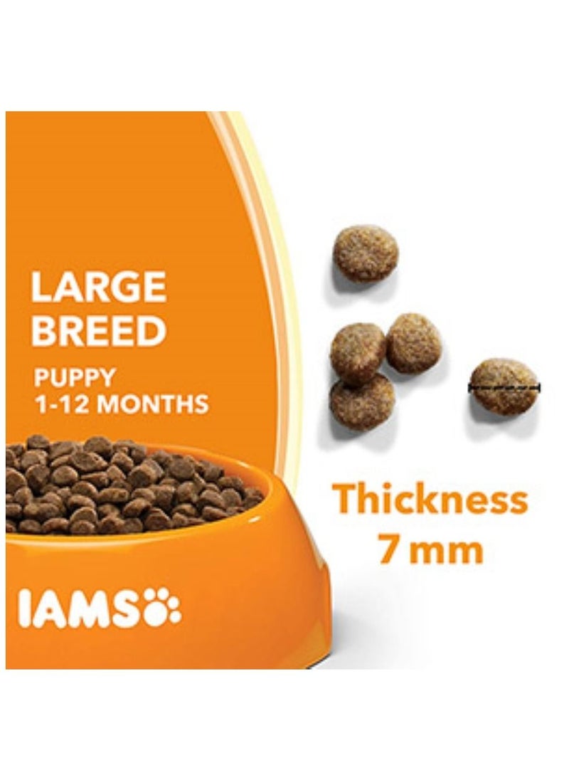 Iams - Vitality Large Breed Dry Puppy Food With Fresh Chicken 2Kg - Image 1