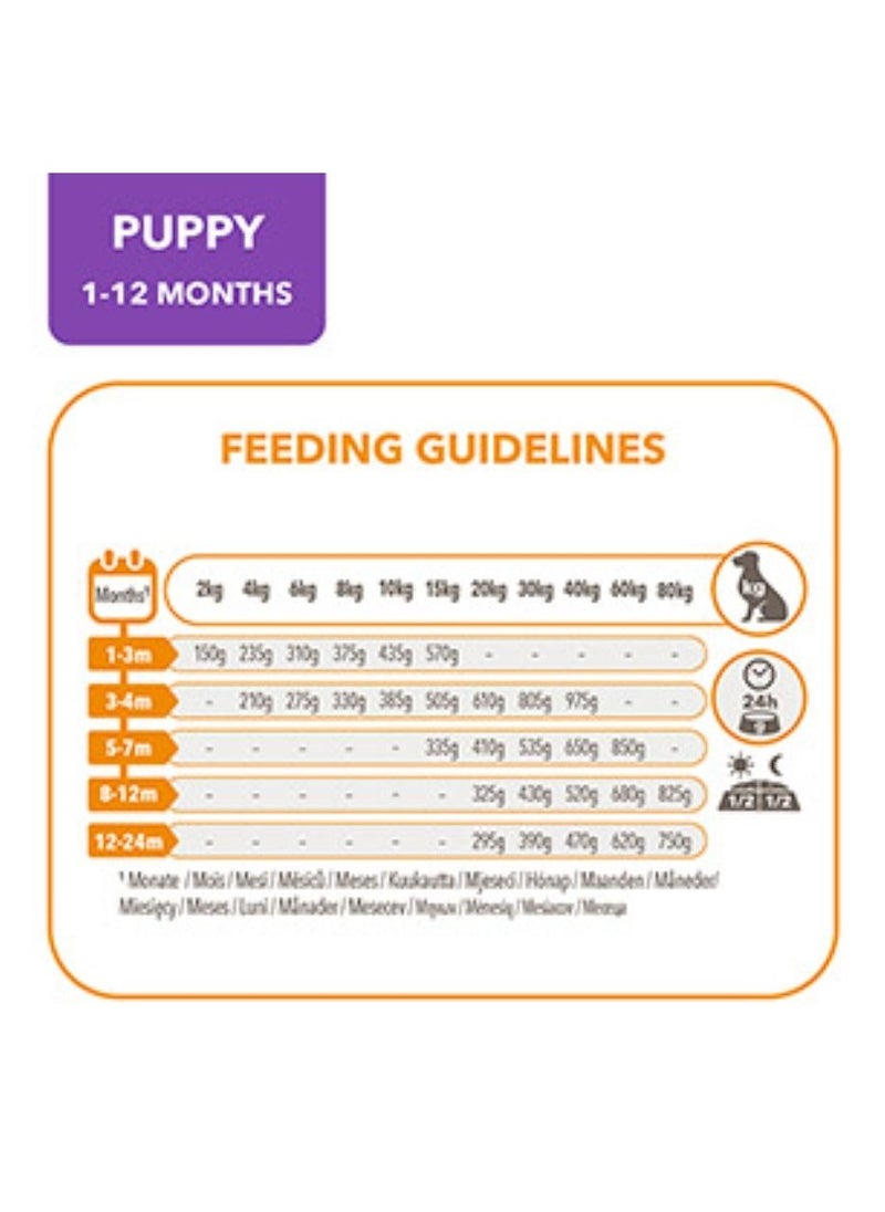 Iams - Vitality Large Breed Dry Puppy Food With Fresh Chicken 2Kg - Image 1