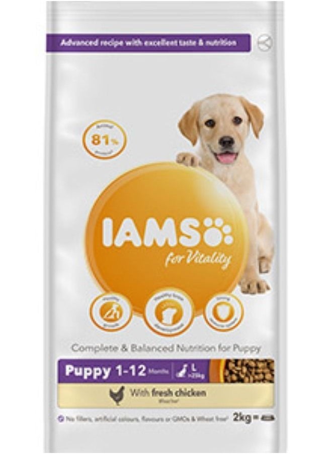 Iams - Vitality Large Breed Dry Puppy Food With Fresh Chicken 2Kg - Image 1