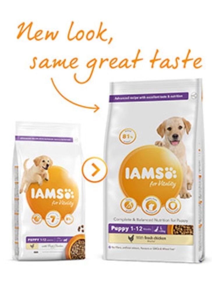 Iams - Vitality Large Breed Dry Puppy Food With Fresh Chicken 2Kg - Image 1