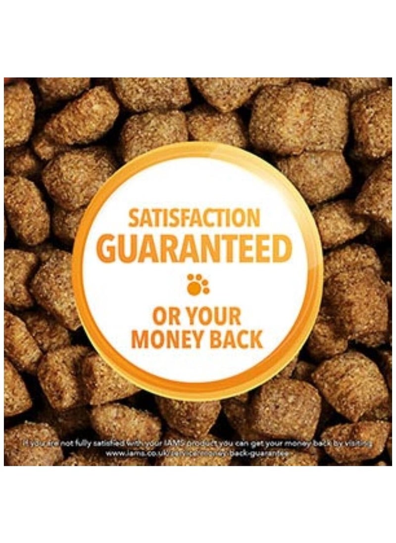 Iams - Vitality Large Breed Dry Puppy Food With Fresh Chicken 2Kg - Image 1