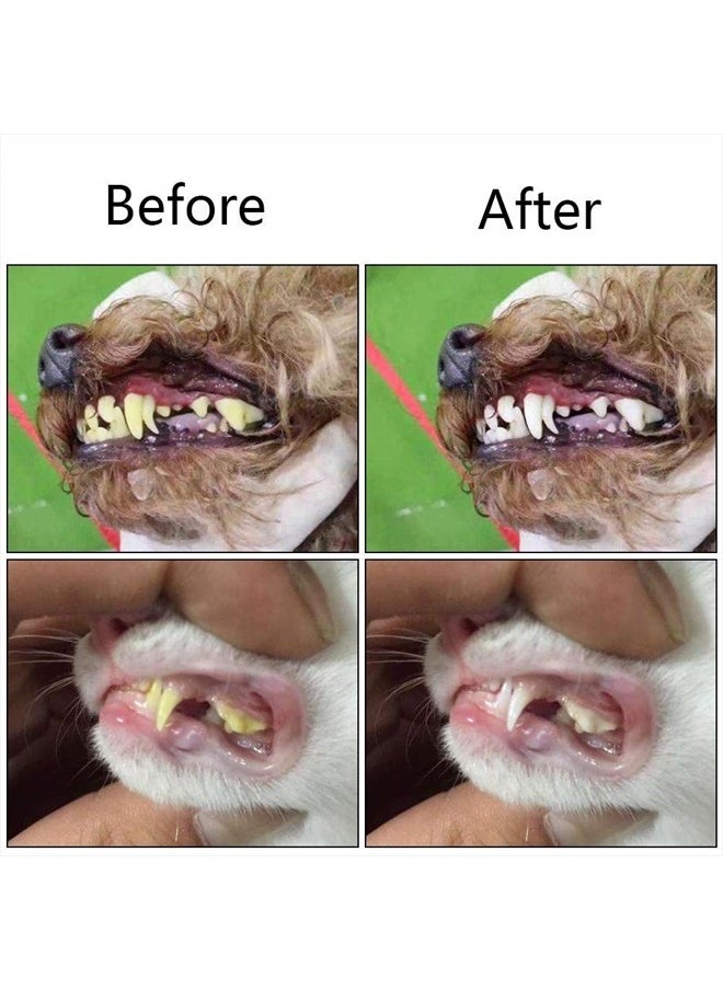 Orgrimmar 2 Pcs Three Sided Pet Toothbrush Dog Brush Addition Bad Breath Tartar Teeth Care Dog Cat Cleaning Mouth  - Image 5