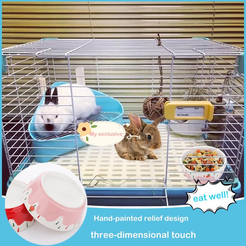DQITJ 2 Pcs Hamster Ceramic Bowl, Small Animals Anti-Turning Food Water Bowl for Rabbit Hamster Guinea Pig Hedgehog Squirrel (Pink and Red) - Image 4