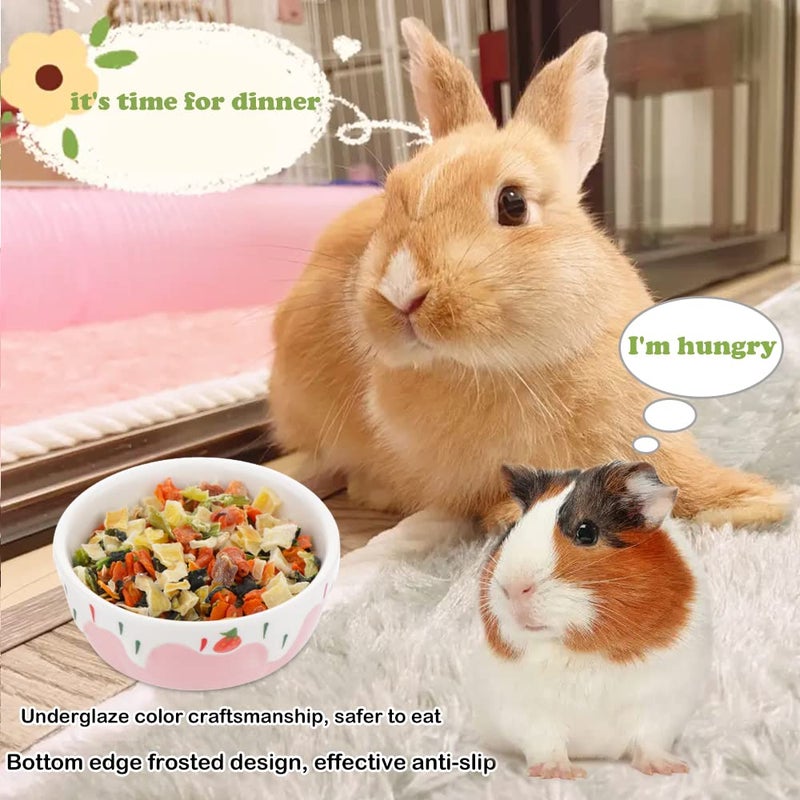 DQITJ 2 Pcs Hamster Ceramic Bowl, Small Animals Anti-Turning Food Water Bowl for Rabbit Hamster Guinea Pig Hedgehog Squirrel (Pink and Red) - Image 2