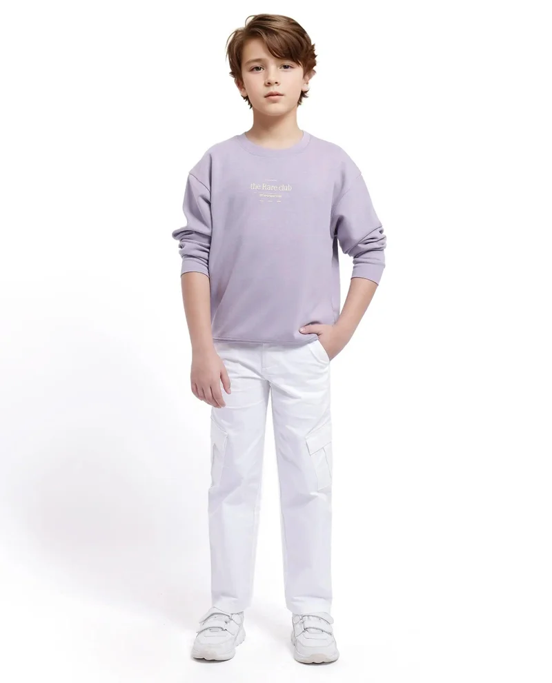 Rare Ones Rare Ones Kids Tamu Dusky Purple Cotton Full Sleeve Crew Neck HD Print With Twill Texture Sweatshirt