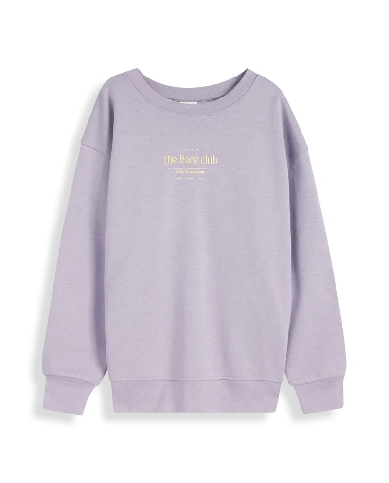 Rare Ones Rare Ones Kids Tamu Dusky Purple Cotton Full Sleeve Crew Neck HD Print With Twill Texture Sweatshirt