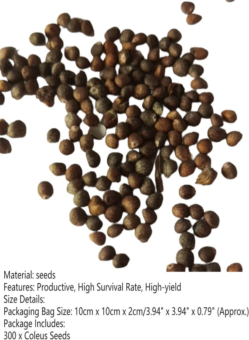 GGOOT 300Pcs Multicolor Leaf Grass Plant Seeds Vigorous GMO-Free Safe Natural Mini Grass Seeds Garden Supplies Purple - Image 5