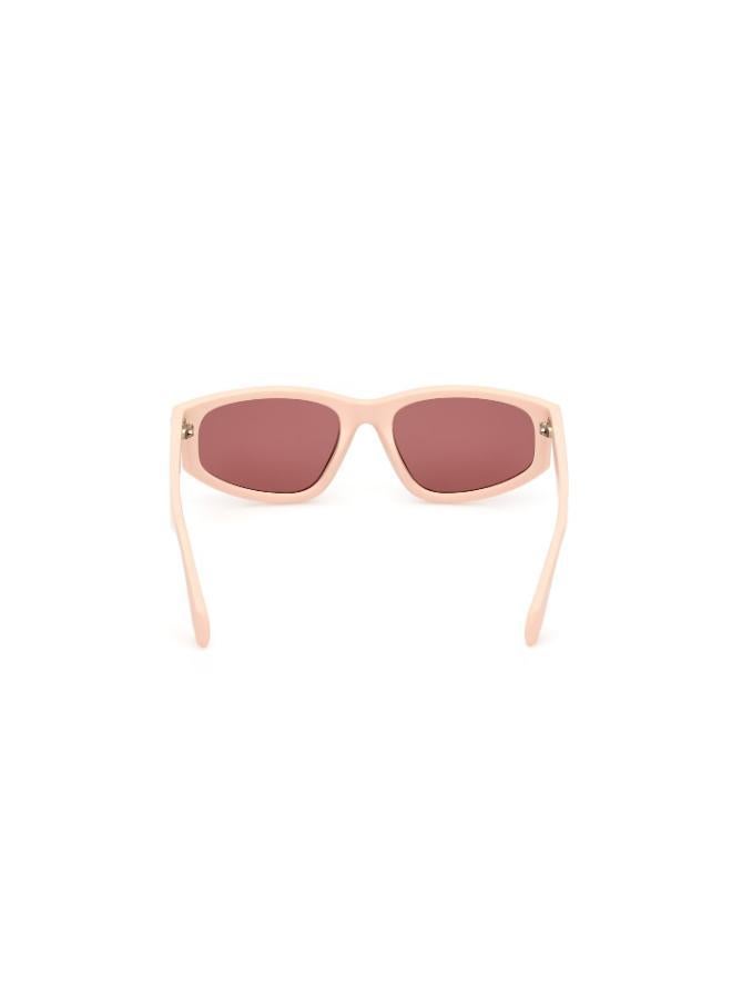 Adidas Wayfarers Sunglasses - Image 3