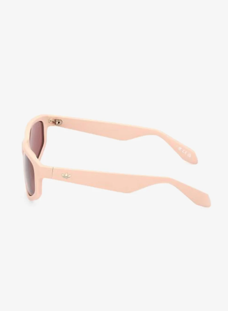 Adidas Wayfarers Sunglasses